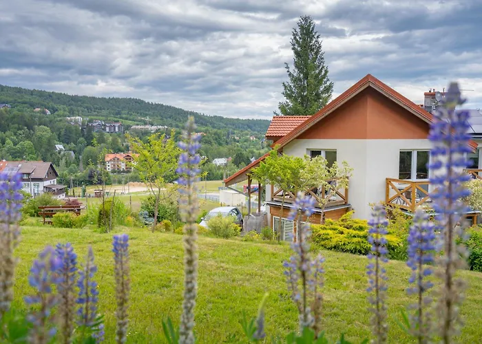 Domino - I 스클라르스카포렘바